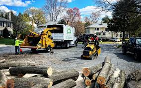 Best Tree Preservation Services  in Peridot, AZ